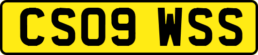 CS09WSS