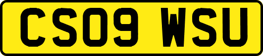 CS09WSU