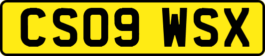 CS09WSX