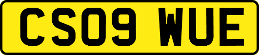 CS09WUE