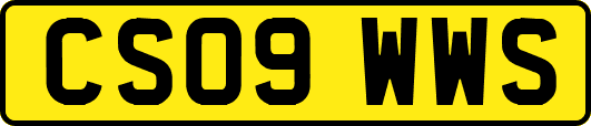 CS09WWS