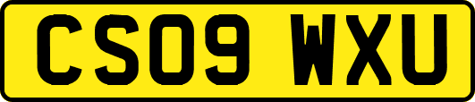 CS09WXU