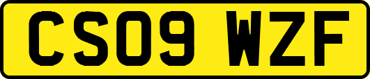 CS09WZF