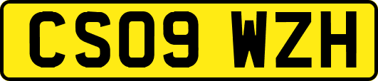 CS09WZH