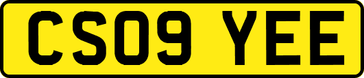 CS09YEE