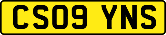 CS09YNS