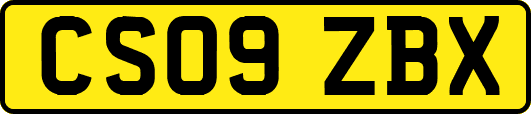 CS09ZBX