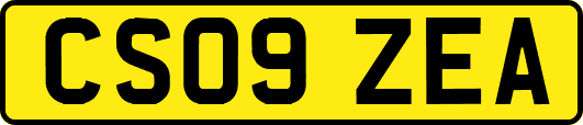 CS09ZEA