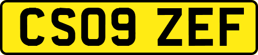 CS09ZEF