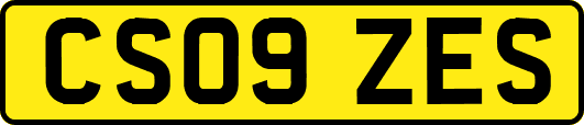 CS09ZES