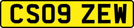 CS09ZEW
