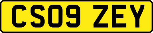 CS09ZEY