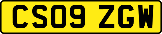 CS09ZGW