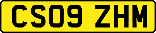 CS09ZHM