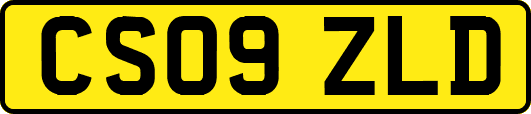 CS09ZLD
