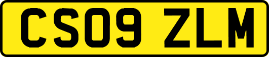 CS09ZLM