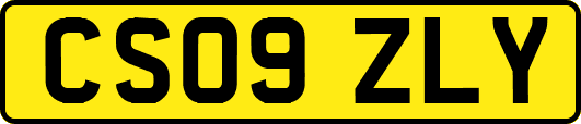 CS09ZLY