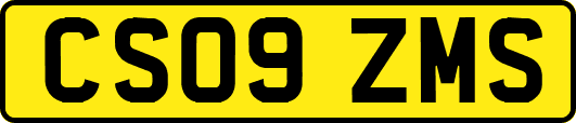 CS09ZMS