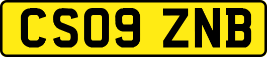 CS09ZNB