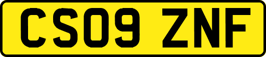 CS09ZNF
