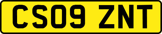 CS09ZNT