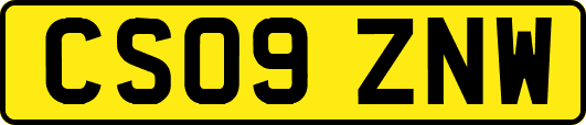 CS09ZNW