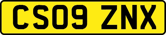 CS09ZNX