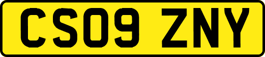 CS09ZNY