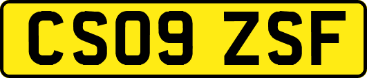 CS09ZSF