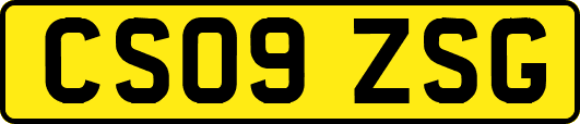 CS09ZSG
