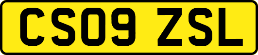 CS09ZSL