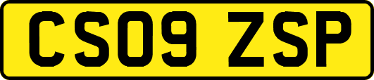 CS09ZSP