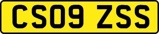 CS09ZSS