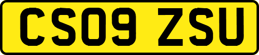 CS09ZSU