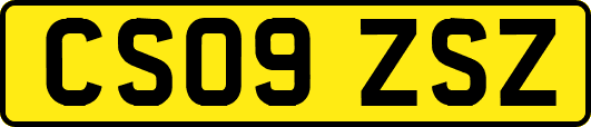 CS09ZSZ