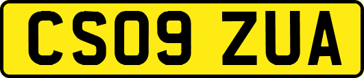 CS09ZUA