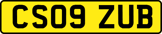 CS09ZUB