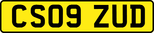 CS09ZUD