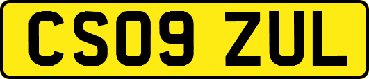 CS09ZUL