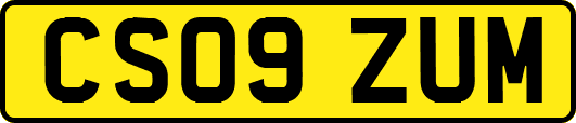 CS09ZUM