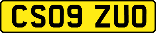 CS09ZUO