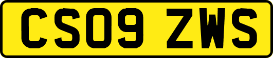 CS09ZWS