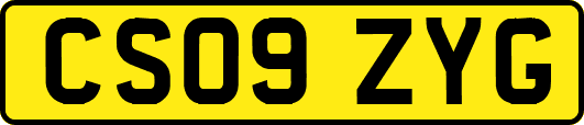 CS09ZYG