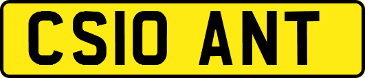 CS10ANT