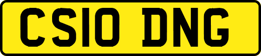 CS10DNG
