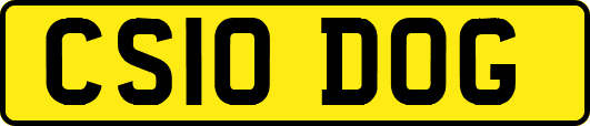 CS10DOG
