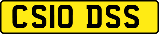CS10DSS