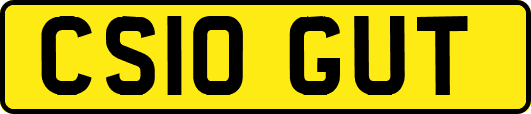 CS10GUT