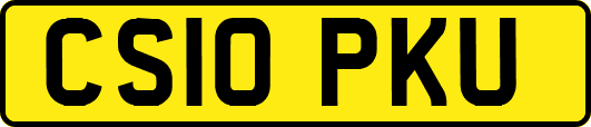 CS10PKU