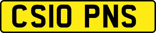 CS10PNS
